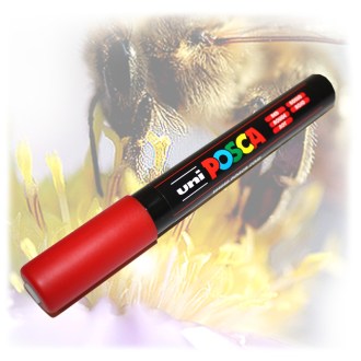 Queen bee marking marker pen. - FIX Japan